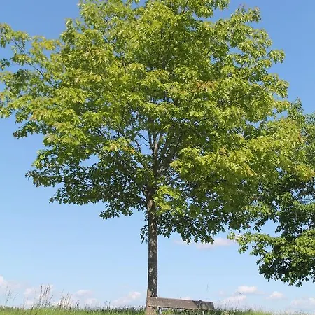 Poelzl